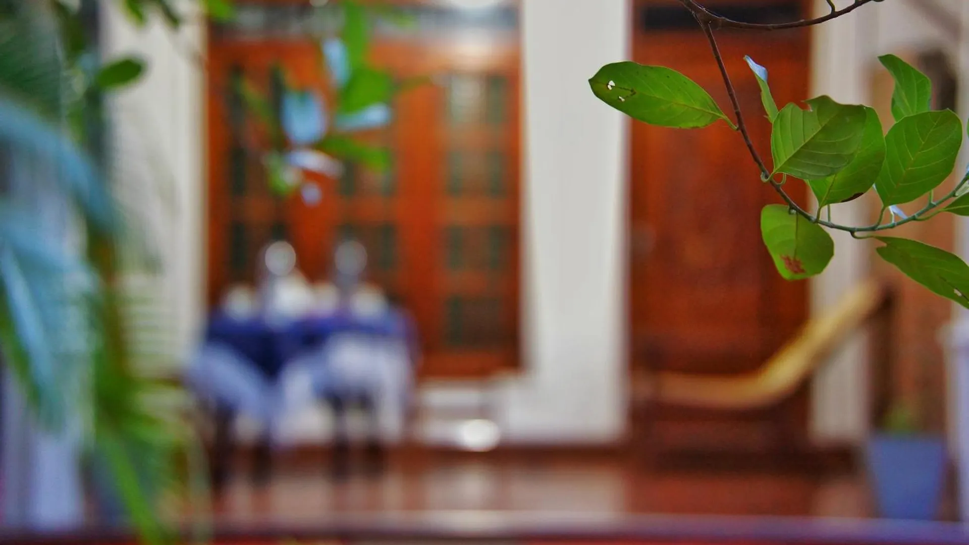 Lily'S Garden Resort Sigiriya 0*,